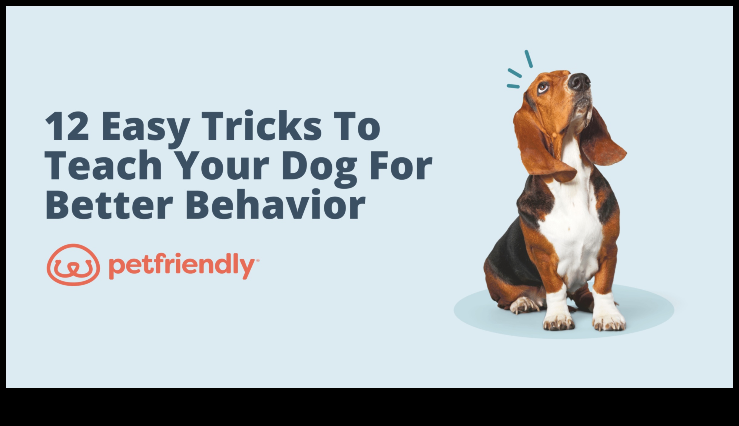 Κυνική δημιουργικότητα: Διδάσκοντας στον σκύλο σας διασκεδαστικά κόλπα και εντολές