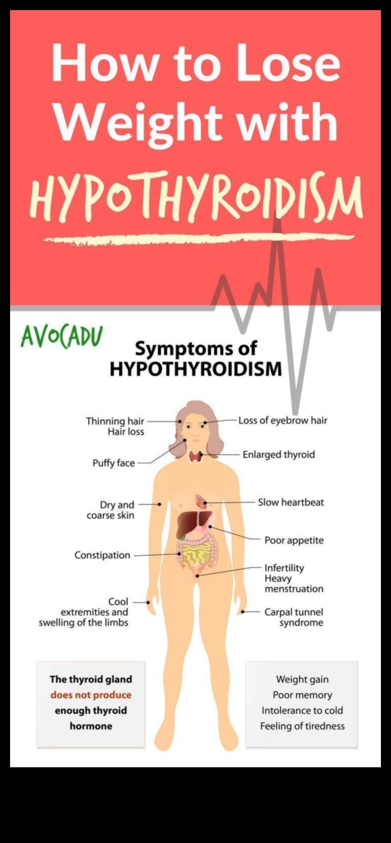 Δίαιτες απώλειας βάρους και λειτουργία του θυρεοειδούς: Εύρεση ισορροπίας