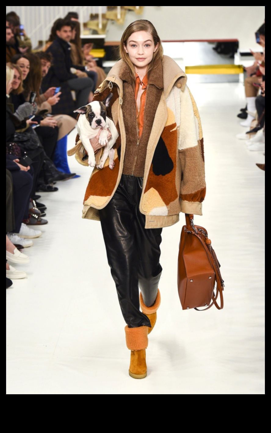 Reptile Runway Rendezvous: Προσθέτοντας Glamour στην εμφάνιση του Scaley Friend's Your Scaley