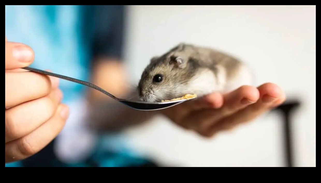 Συμβουλές για ταξίδια χάμστερ Συνέχεια: Προετοιμασία για ταξίδια χωρίς άγχος