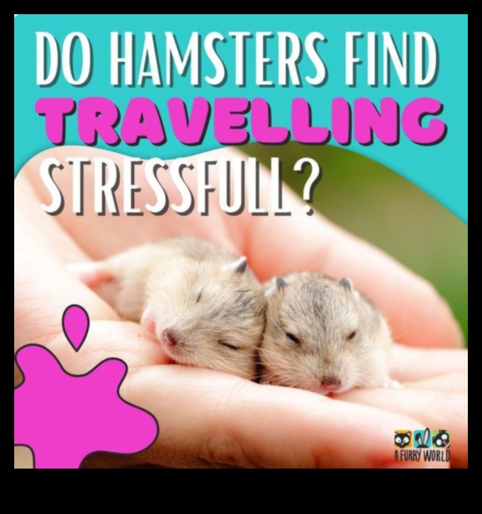 Συμβουλές για ταξίδια χάμστερ Συνέχεια: Προετοιμασία για ταξίδια χωρίς άγχος