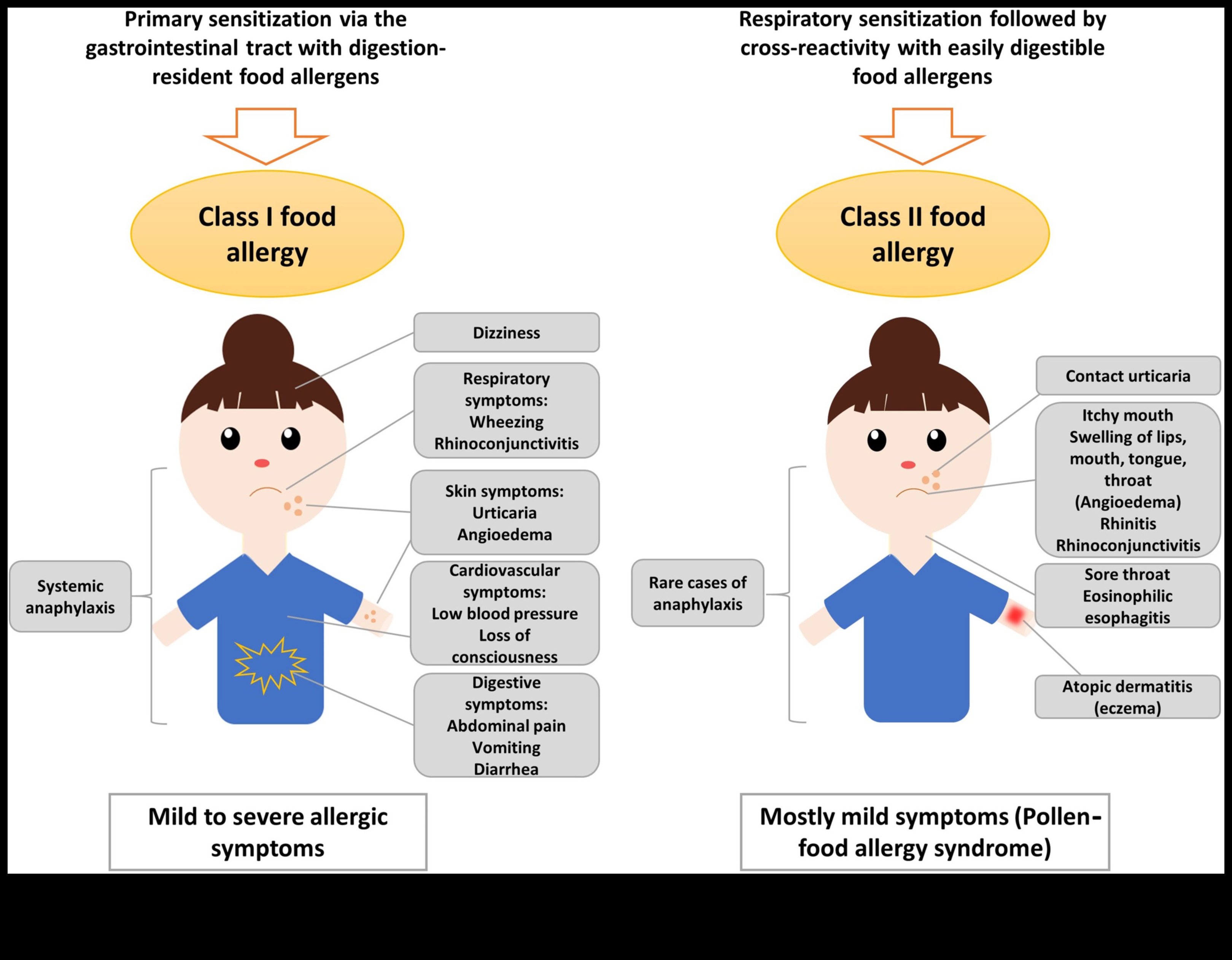 Εποχιακές αλλεργίες Η κρυφή απειλή πρωτεΐνης 2 Η σύνδεση μεταξύ πρωτεΐνης και εποχιακών αλλεργιών