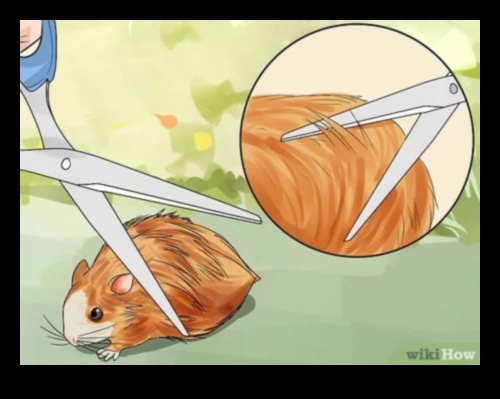 Οδηγός περιποίησης χάμστερ: Συμβουλές για να διατηρείτε το κατοικίδιό σας περιποιημένο