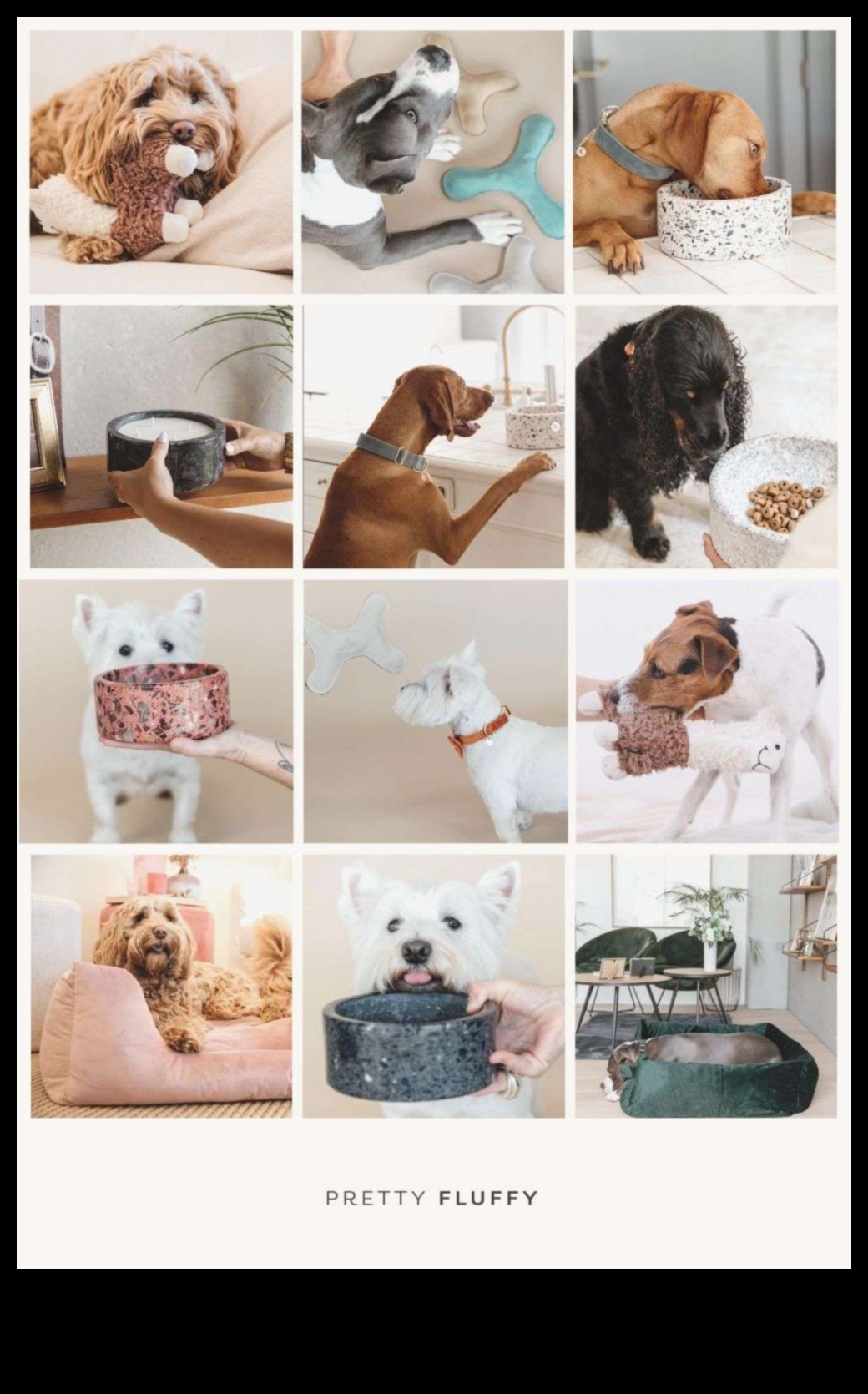 DIY Doggy Decor: Δημιουργώντας κομψά αξεσουάρ για το κουτάβι σας