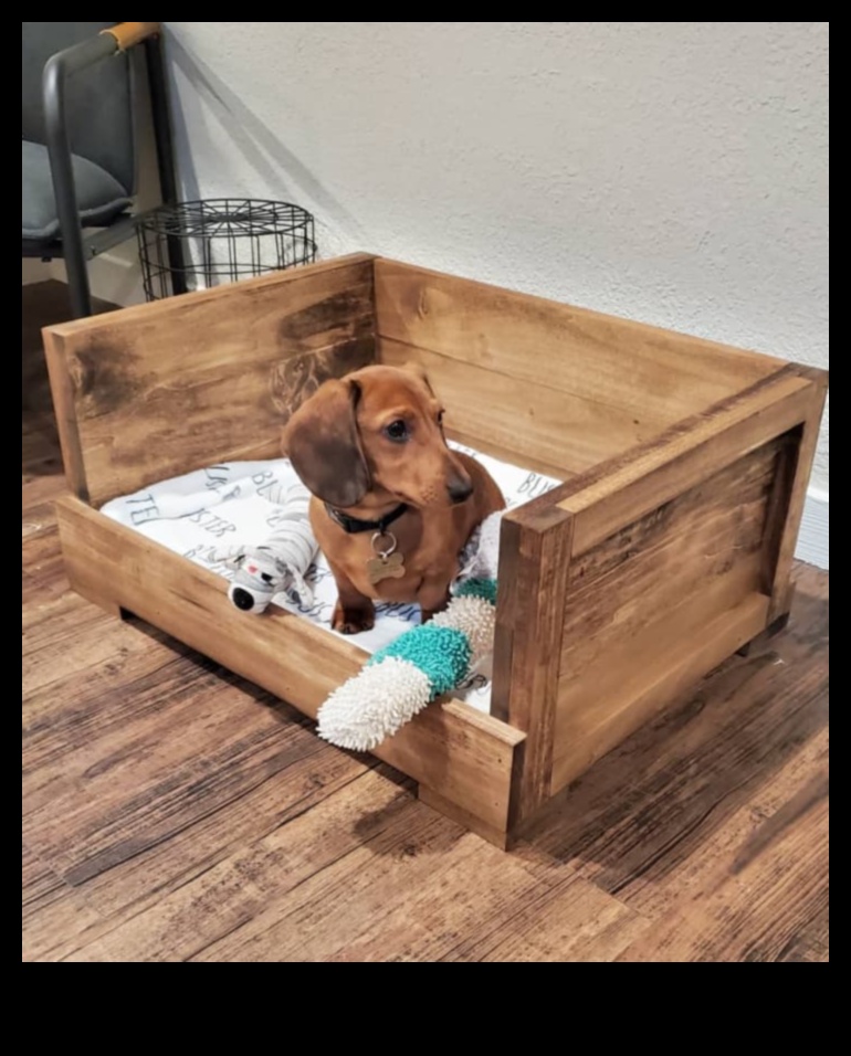 DIY Doggy Decor: Δημιουργώντας κομψά αξεσουάρ για το κουτάβι σας