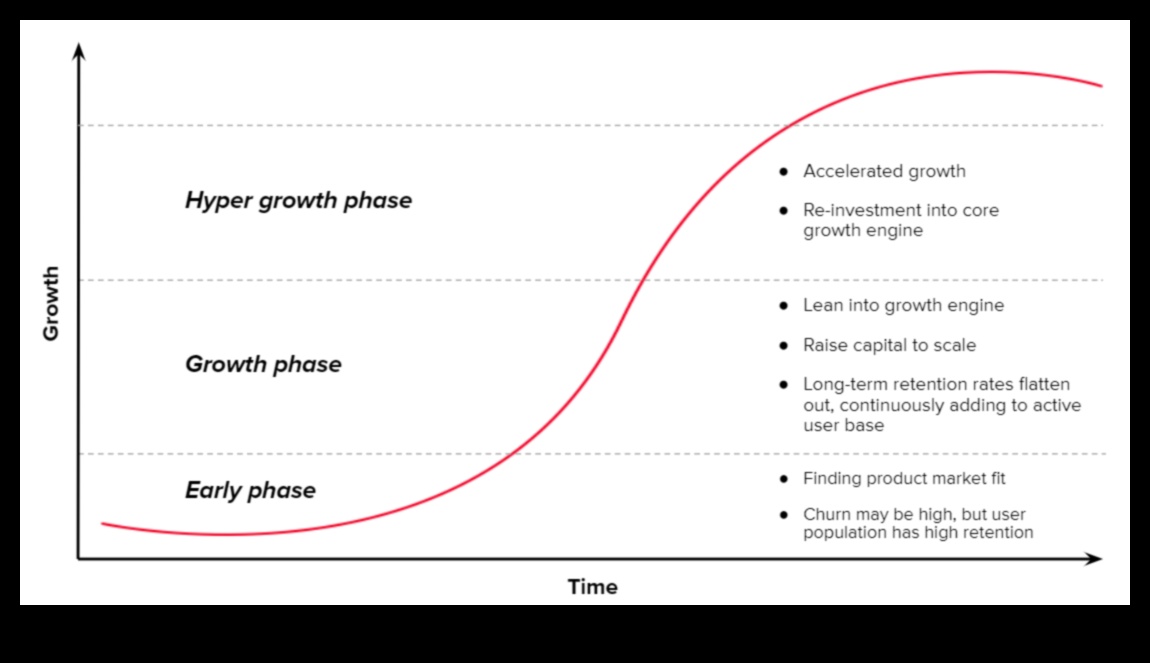 The Business Growth Engine: Strategies for Dynamic Development
