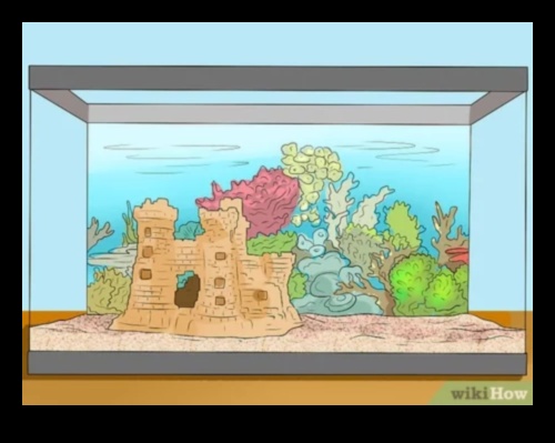 Aqua Adornments Συνέχεια: Ενισχύοντας την αισθητική της δεξαμενής ψαριών σας