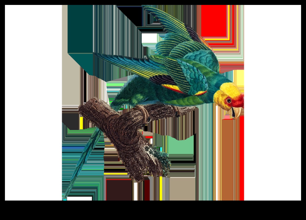 Bird Conservation Chronicles: Προσπάθειες για την προστασία των απειλούμενων ειδών