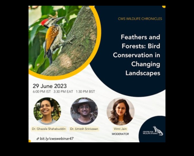 Bird Conservation Chronicles: Προσπάθειες για την προστασία των απειλούμενων ειδών