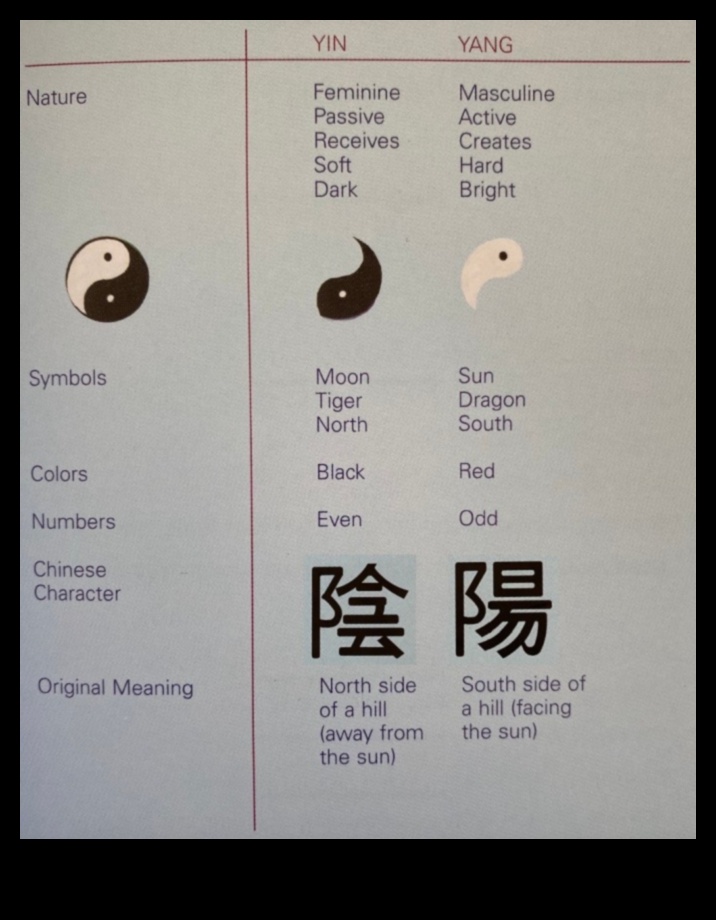 Μορφή και Λειτουργία: Εξισορροπητικά Στοιχεία στην Αρχιτεκτονική Αισθητική