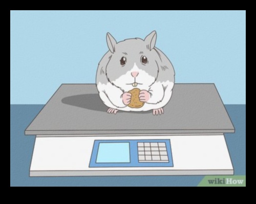 Hamster Teeth Talk: Συμβουλές για την οδοντιατρική φροντίδα και τις ανάγκες μάσησης