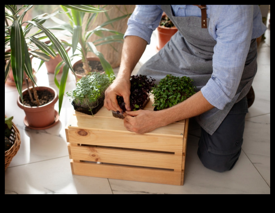 DIY Wooden Planters: Δημιουργία χώρων πρασίνου με ξύλινη κομψότητα