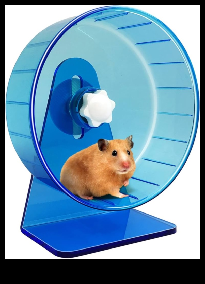 Hamster Wheel Safety Συνεχιζόμενες Αθόρυβες Επιλογές για Ήσυχο Περιβάλλον 5 Ασφάλεια τροχού χάμστερ Συνέχεια: Αθόρυβες επιλογές για ένα ήσυχο περιβάλλον
