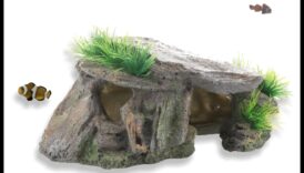 Aqua Adornment Aesthetics: Βελτιώστε την εμφάνιση της δεξαμενής σας με αξεσουάρ