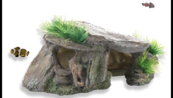 Aqua Adornment Aesthetics: Βελτιώστε την εμφάνιση της δεξαμενής σας με αξεσουάρ