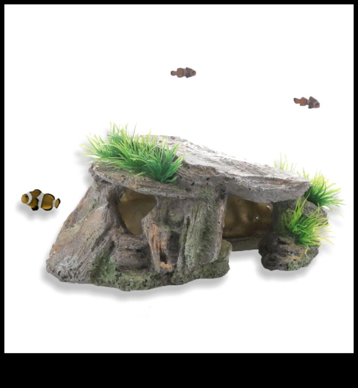 Aqua Adornment Aesthetics: Βελτιώστε την εμφάνιση της δεξαμενής σας με αξεσουάρ