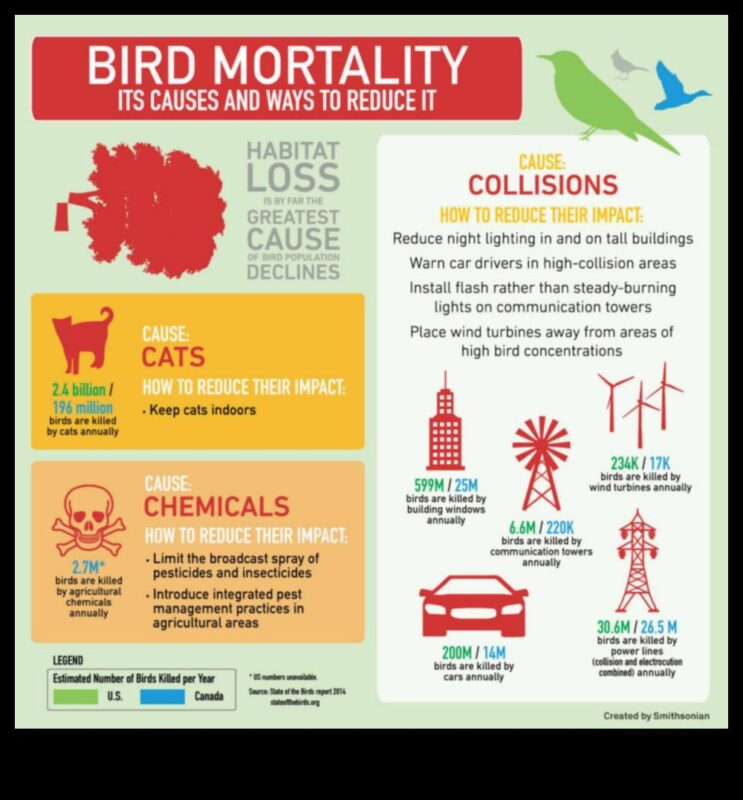 Bird Conservation Chronicles: Προσπάθειες για την προστασία των απειλούμενων ειδών