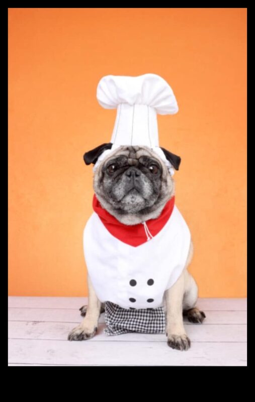 Canine Chef Challenge: Cooking Up Homemade Treats for Dogs