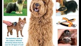 The Art of Grooming: Ένας κομψός οδηγός για τη φροντίδα των σκύλων
