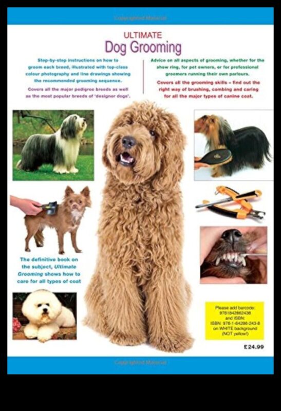 The Art of Grooming: Ένας κομψός οδηγός για τη φροντίδα των σκύλων