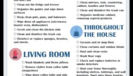 DIY Spring Cleaning Scents: Crafting Aromatherapy for a Fresh Home