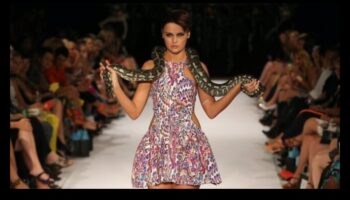 Reptile Runway Rendezvous: Προσθέτοντας Glamour στην εμφάνιση του Scaley Friend's Your Scaley