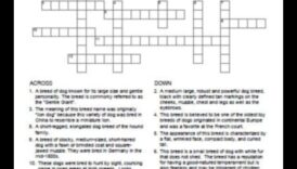 Κυνικά σταυρόλεξα: Παζλ μέσα από διασκεδαστικά παιχνίδια που σχετίζονται με σκύλους