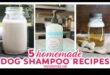 Συνταγές για σπιτικό σαμπουάν για σκύλους: DIY λύσεις για ένα καθαρό κουτάβι