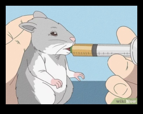 Hamster Teeth Talk: Συμβουλές για την οδοντιατρική φροντίδα και τις ανάγκες μάσησης