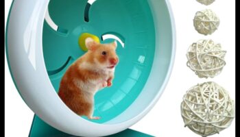 Ασφάλεια τροχού χάμστερ Συνέχεια: Αθόρυβες επιλογές για ένα ήσυχο περιβάλλον